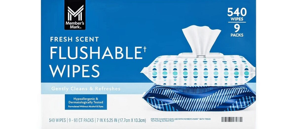 Member's Mark Cleaning Wipes (Dry) non-toxic cleaning Oahu