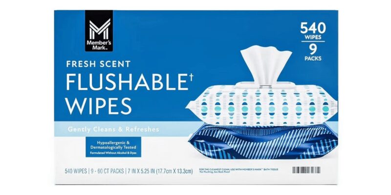 Member's Mark Cleaning Wipes (Dry) non-toxic cleaning Oahu