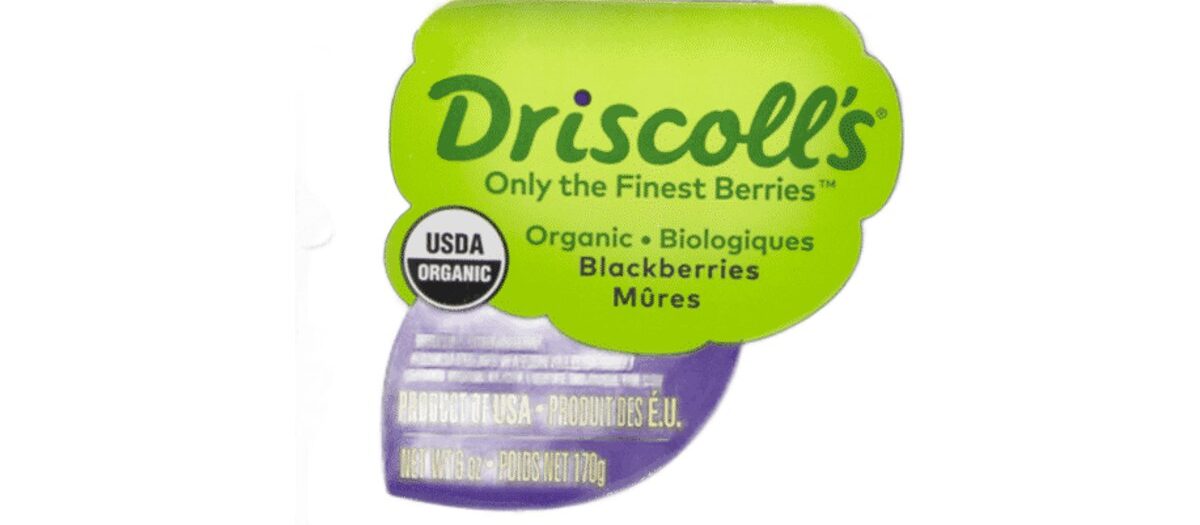 Blackberries (fresh) non-toxic cleaning Oahu