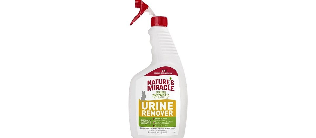 Enzymatic Cleaner (spray) non-toxic cleaning Oahu